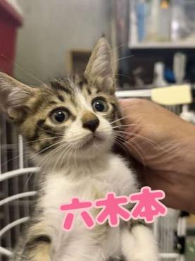 正面から抱っこされた写真