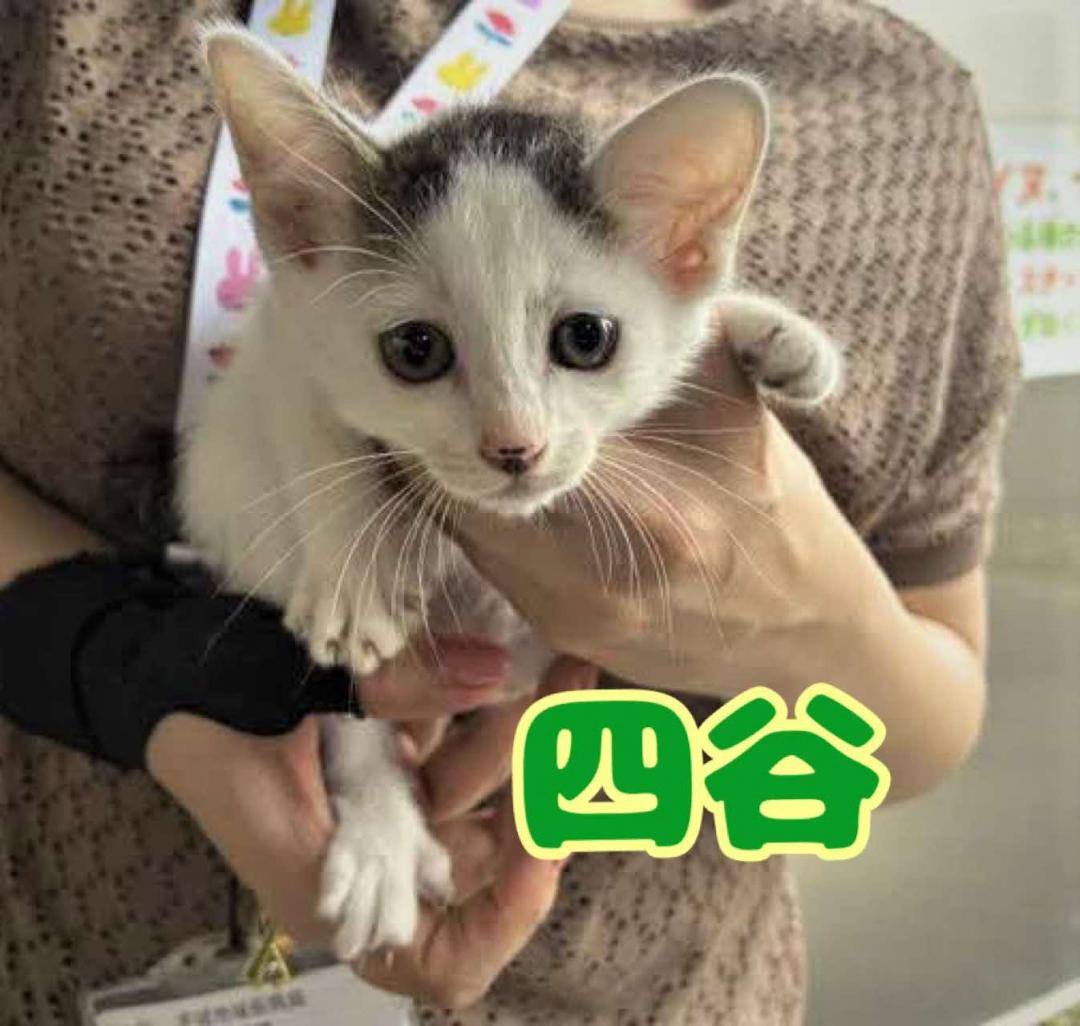 正面から抱っこされた写真
