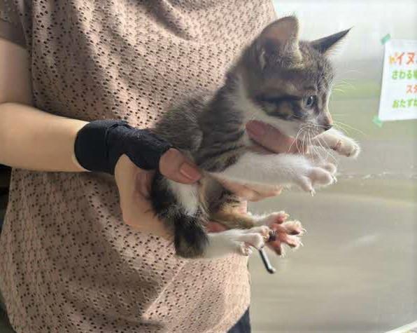 手に乗って横からとった写真