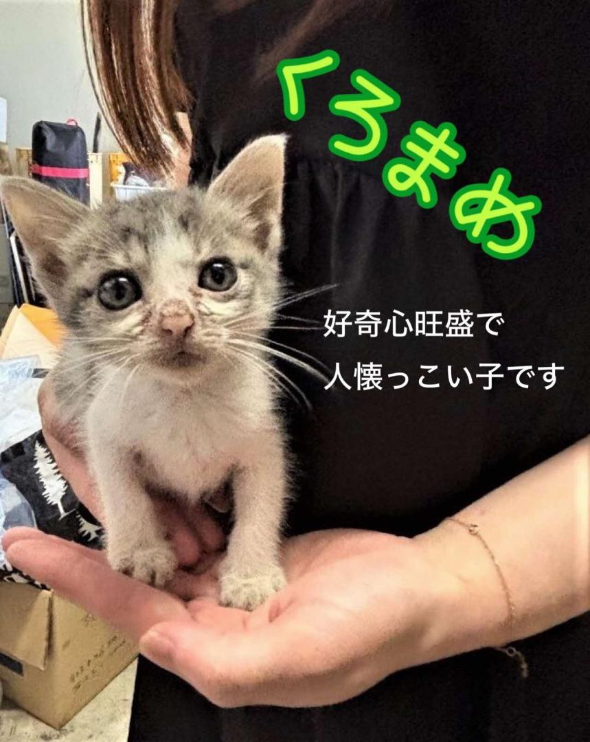 抱っこされて正面から撮った写真