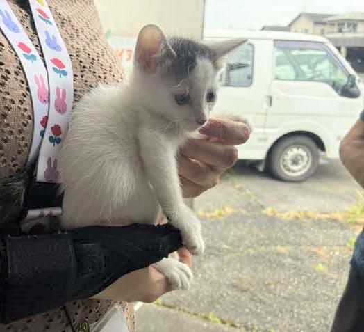 手に乗って横からとった写真