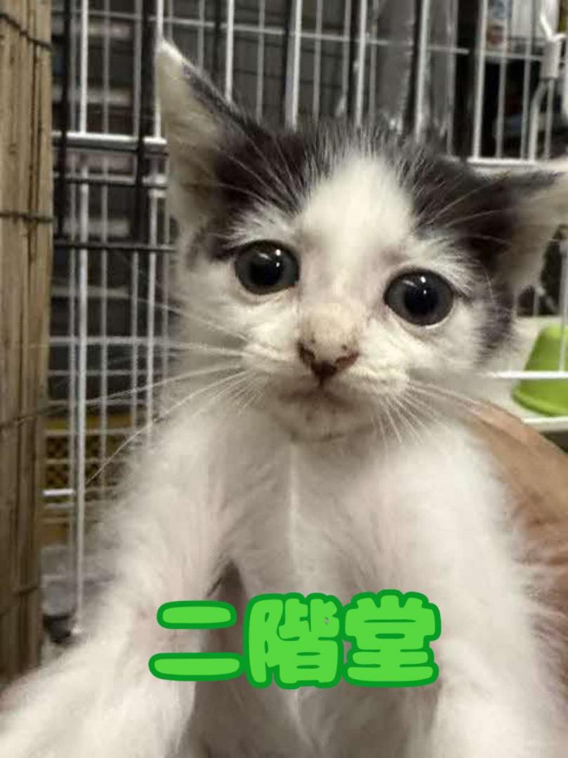 正面から抱っこされた写真