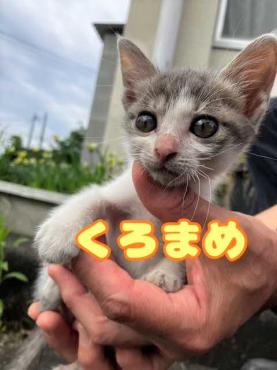 抱っこされて正面から撮った写真