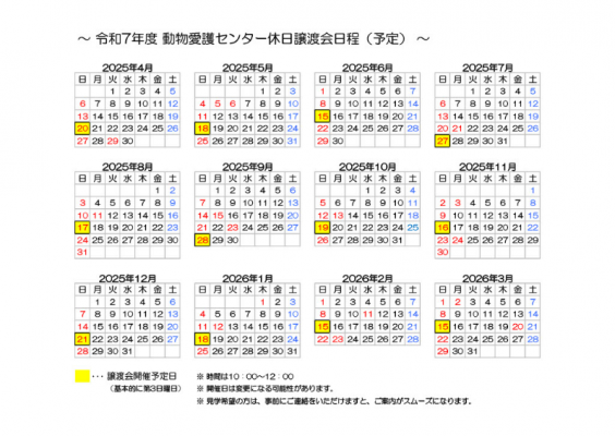 スケジュール
