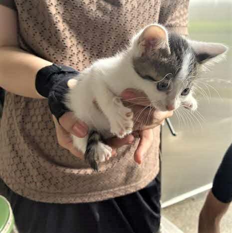 抱っこされて少し横からの写真