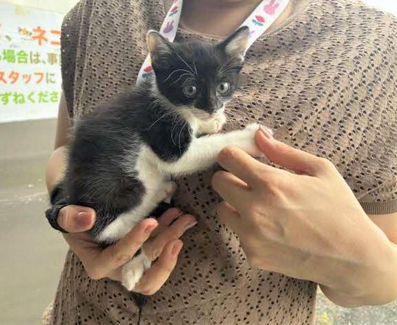 手に乗って横からとった写真
