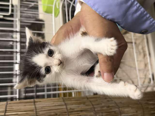 手に乗って横からとった写真