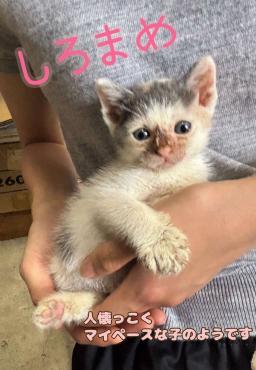 抱っこされて正面から撮った写真