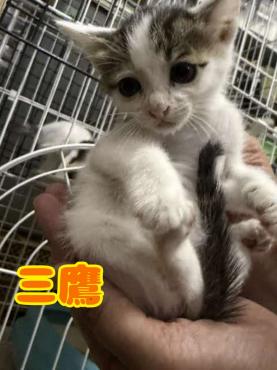 正面から抱っこされた写真